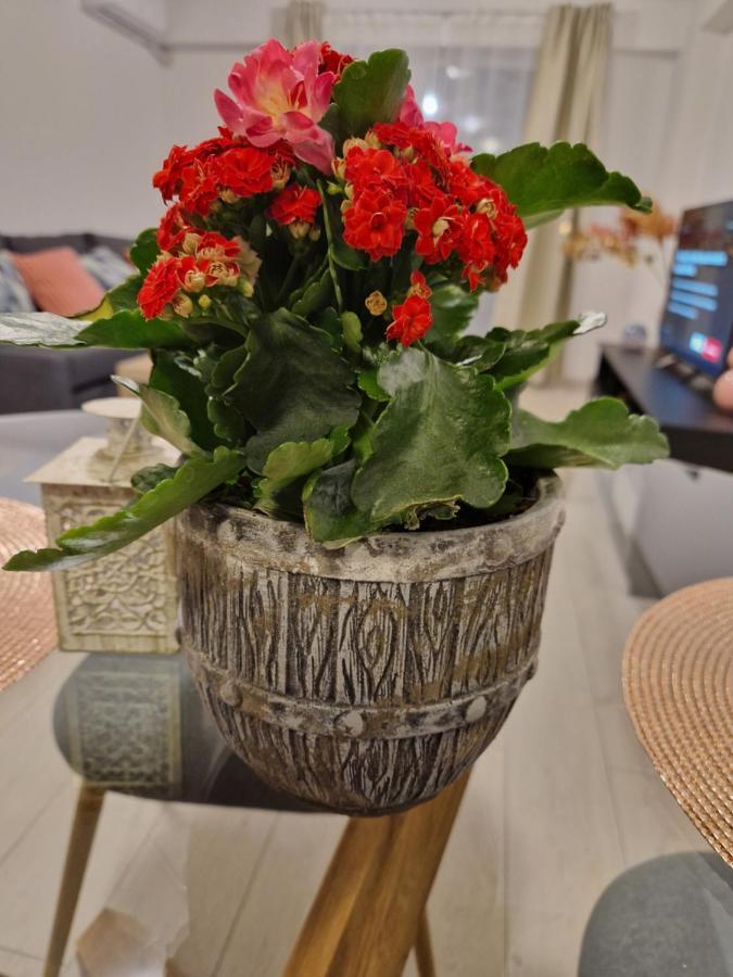 Star Airport Residence Otopeni Bagian luar foto