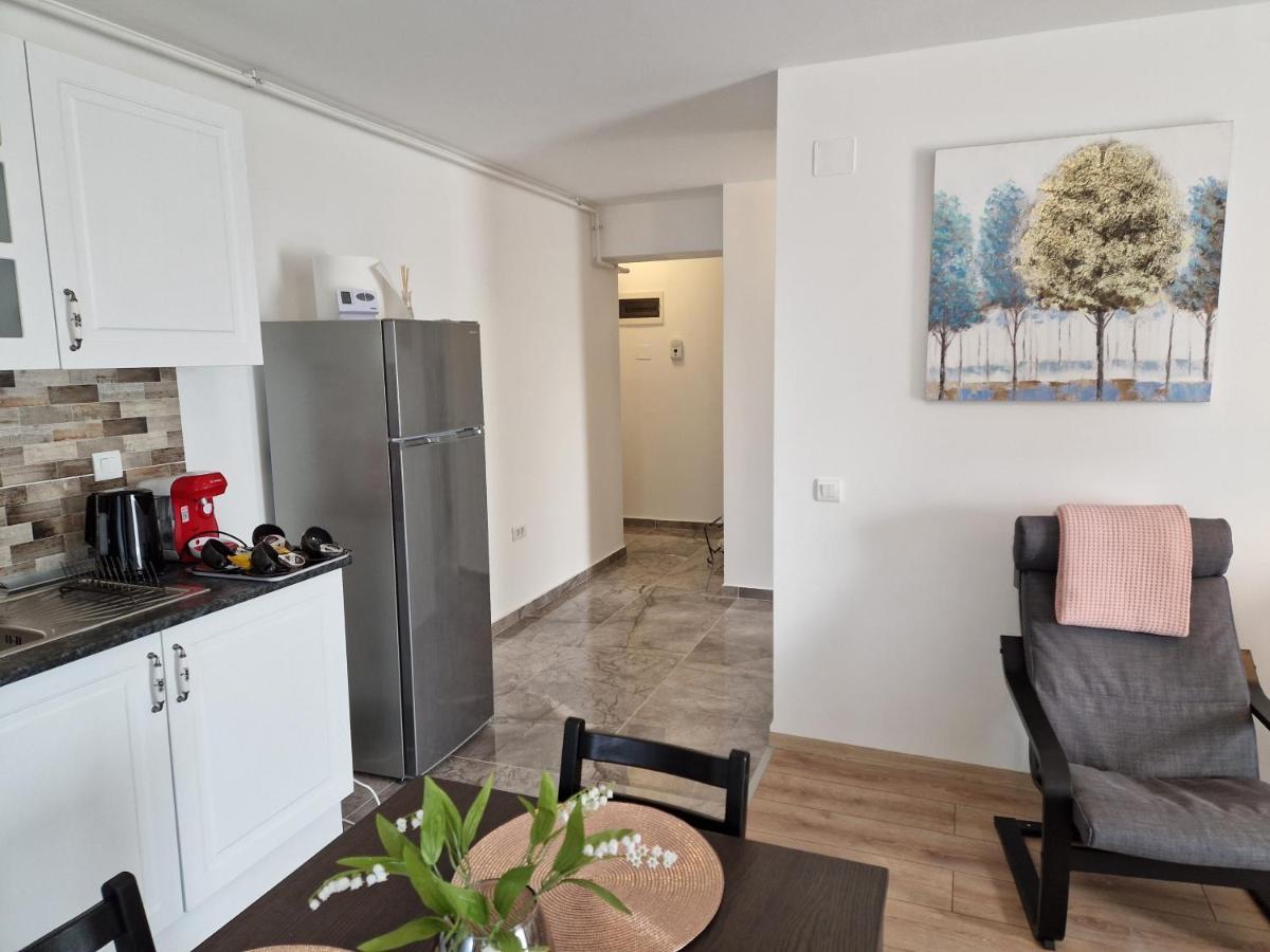Star Airport Residence Otopeni Bagian luar foto